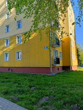 Udane Wczasy